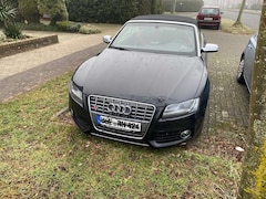 Bild des Angebotes Audi S5 S5 Cabrio S tronic