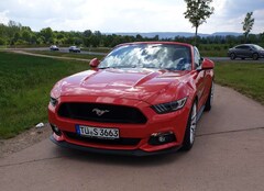 Bild des Angebotes Ford Mustang Cabrio 5.0 Ti-VCT V8 GT