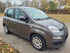 Bild des Angebotes Fiat Panda Reserviert Mild Hybrid, Klima, TÜV neu, City