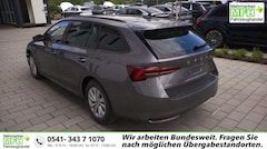 Bild des Angebotes Skoda Octavia Combi Business 1.5 TSI mHEV 7-Gang-DSG 110 kW (...