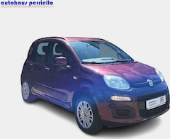 Bild des Angebotes Fiat Panda Lounge 1.2 8V