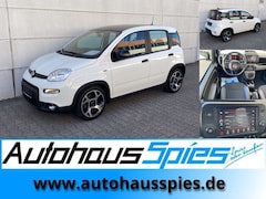 Bild des Angebotes Fiat Panda 1.0 Mild Hybrid Sport CarPlay AndAuto KlimaAut. Sh