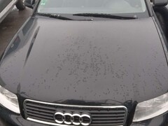 Bild des Angebotes Audi A4 Avant 1.9 TDI quattro
