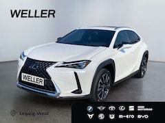 Bild des Angebotes Lexus UX 250h Executive Line *HUD*Leder*GSD*el. Sitze*