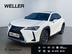 Bild des Angebotes Lexus UX 250h Executive Line AUT*HUD*Leder*el. Sitze*