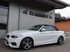 Bild des Angebotes BMW 225 d Cabrio Sport-Aut. M SPORT *LEDER*BUSINESS*DAB*