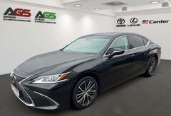 Lexus ES 300 h Business + Schiebedach + 8-Fach Bereift