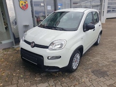 Bild des Angebotes Fiat Panda Base