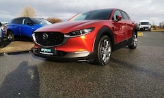 Bild des Angebotes Mazda CX-30 CX-30 2.0 Edition 100 Mild Hybrid