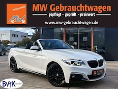 Bild des Angebotes BMW 220 i Cabrio Steptr. M-Sport KAM LED SHZ H&K TEMP