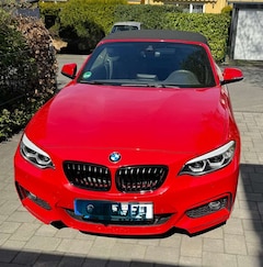 Bild des Angebotes BMW 220 220iA Cabrio M-Sportpaket Kamera H/K Navi LED