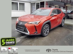 Bild des Angebotes Lexus UX 250h UX 250 h Style Edition ACC, FLA, SpurH, LM