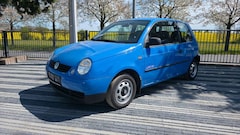 Bild des Angebotes VW Lupo 1.0 BASIS - TÜV/ AU NEU *1.Hand*