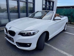 Bild des Angebotes BMW 220 Cabrio 220 i Advantage, Aut, Sitzhzg, PDC,