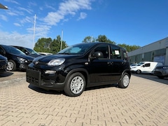 Bild des Angebotes Fiat Panda Neues Modell 1.0 *5 Sitzer Klima PDC DAB*