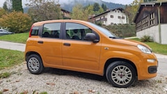 Bild des Angebotes Fiat Panda Panda/Pandina 1.2 Start