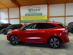Bild des Angebotes Ford Kuga 2.0 EcoBlue  ST-Line x,2xCam,Pano,AHK,IACC