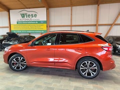 Bild des Angebotes Ford Kuga 2.0 EcoBlue  ST-Line x,2xCam,Pano,AHK,IACC