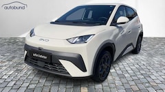 Bild des Angebotes BYD Dolphin Surf Sofort Lieferbar Boost Alu Link NAV NBA PDC R