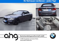 Bild des Angebotes BMW 240 xDrive Steptronic Cabrio Navi Prof. PDC
