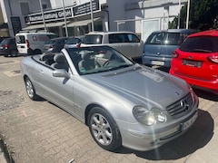 Bild des Angebotes Mercedes-Benz CLK 240 CLK Cabrio CLK 240