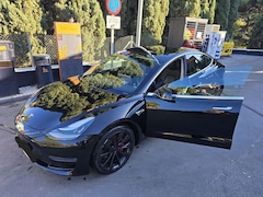 Bild des Angebotes Tesla Model 3 Long-Range Dual Motor AWD