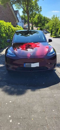 Bild des Angebotes Tesla Model Y RWD