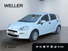 Bild des Angebotes Fiat Punto 1.2 8V *Klimaanlage*Colorverglasung*ASR*