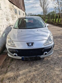 Bild des Angebotes Peugeot 307 Grand Filou Cool