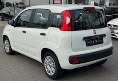 Bild des Angebotes Fiat Panda TÜV AU NEU*KLIMA*USB*ISOFIX*EURO6*