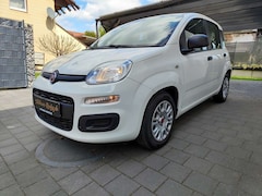 Bild des Angebotes Fiat Panda Panda/Pandina 1.0 GSE Hybrid City Life