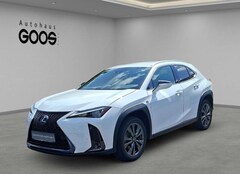 Bild des Angebotes Lexus UX 250h Navi LED Dyn. Kurvenlicht ACC Apple CarPlay Androi