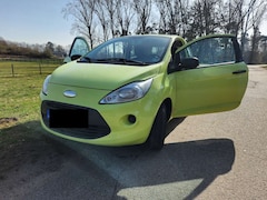Bild des Angebotes Ford Ka/Ka+ Ka 1.2 Trend