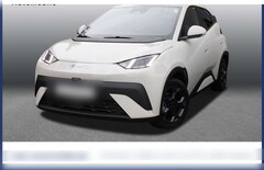 Bild des Angebotes BYD Dolphin SURF Comfort 8-fach bereift