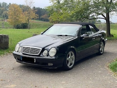 Bild des Angebotes Mercedes-Benz CLK 230 Cabrio Kompressor Elegance final edition