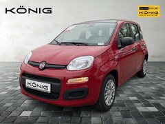 Bild des Angebotes Fiat Panda MY25 1.0 Klima PDC Citypaket