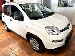 Bild des Angebotes Fiat Panda Base 1.0 GSE Hybrid