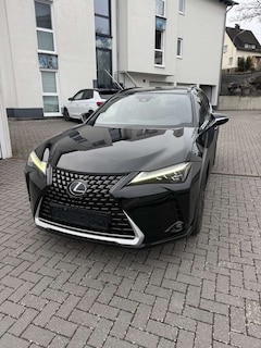Bild des Angebotes Lexus UX 250h Style+ Edition 4x4