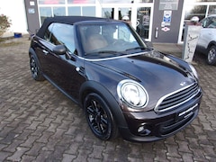Bild des Angebotes MINI One Cabrio "Sondermodell-chocolate"