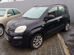 Bild des Angebotes Fiat Panda Lounge 1.2 Facelift  Gepflegt