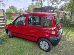 Bild des Angebotes Fiat Panda 1.1 Ltr. TÜV  bis 01.2026..