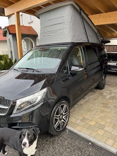 Bild des Angebotes Mercedes-Benz Marco Polo Marco Polo 220 d 4MATIC (AWD) 220 d 4MATIC