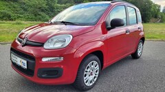 Bild des Angebotes Fiat New Panda New Panda 1.2 Pop " erst 33.100 KM - Klima "