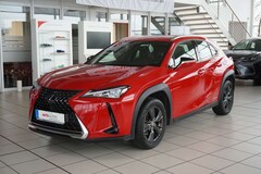 Bild des Angebotes Lexus UX 250h Navi LED Kamera Lenkradhzg.