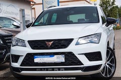 Bild des Angebotes CUPRA Ateca 2.0 TSI 4Drive Tribe Edition Automatik 2.H