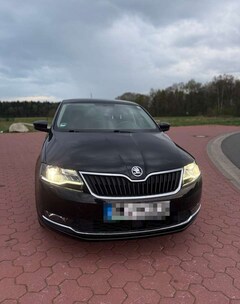 Bild des Angebotes Skoda Rapid/Spaceback Drive (11.2016->)