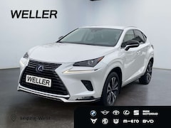 Bild des Angebotes Lexus NX 300h Style Edition *Bi-LED*CAM*SHZ*PDC*CarPlay*