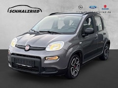 Bild des Angebotes Fiat Panda City Life 1.0 Mild Hybrid DAB Berganfahrass. Klima