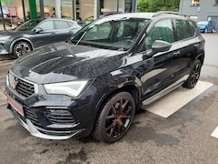 Bild des Angebotes CUPRA Ateca 4Drive *Ihr Cupra Vertragspartner*