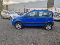 Bild des Angebotes Fiat Panda 1.3 JTD Climbing 4X4